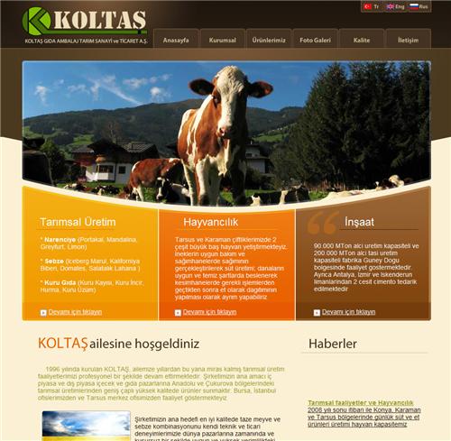 koltas web