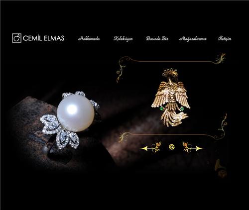 Flash Web Tasarım