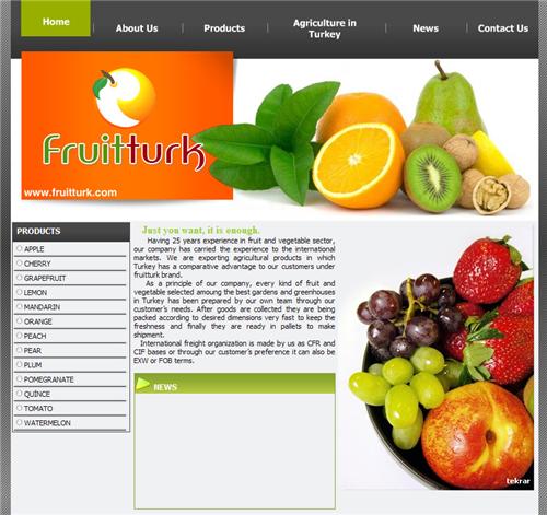 Fruit Türk Web tasarımı