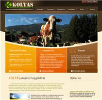 koltas web