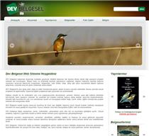 devbelgesel web tasarımı