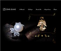 Flash Web Tasarım