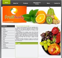 Fruit Türk Web tasarımı