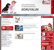 profesyonel web tasarımı