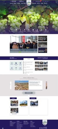 Belediye web tasarım